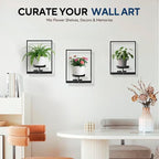 3 Pack Black Metal Indoor Window Plant Shelves Hanging Plant Shelves Picture Frame Outdoor Plant Rack for Indoor Outdoor,Decoration Racks for Home Decor Wall