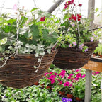 Hemoton Rattan Hanging Basket for Plants Seagrass Hanging Planters Indoor Outdoor Plant Flower Pots Woven Straw Planter Ceiling Flower Pots for Garden Home Decoration 2pcs
