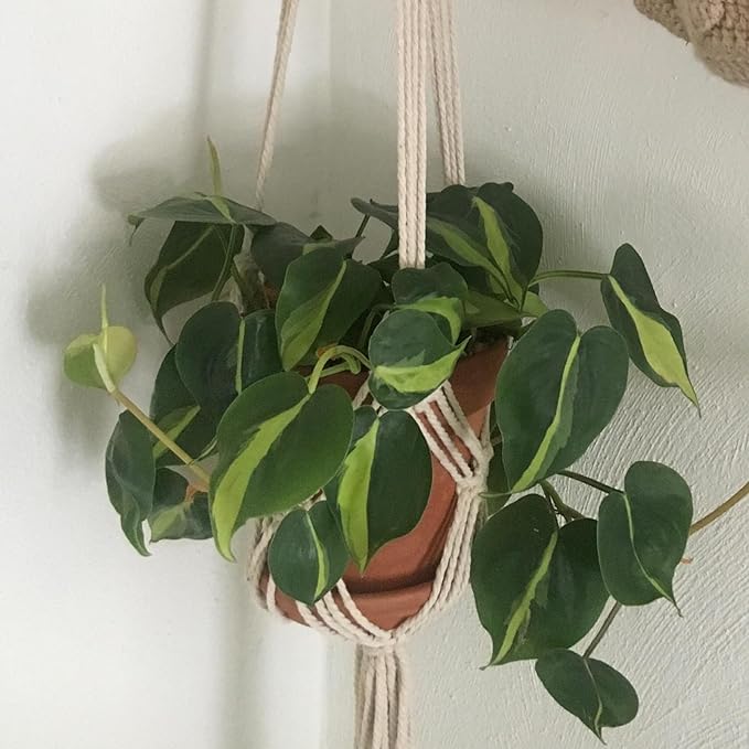 2 Pack Macrame Hanging Planters with Patterns - Stylish Plant Hangers Crochet Boho Plant Holder Hanging Plant Basket for Up to 6 Inch Pots(White)