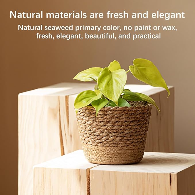 Jute Rope Plant Basket Indoor Modern Woven Flower Pot Basket Seagrass Storage Organizer Planter Rustic Decorative Plant Containers Cover Laundry Bin for Porch Living Room Entryway (7.87×7.87×6.29Inch)