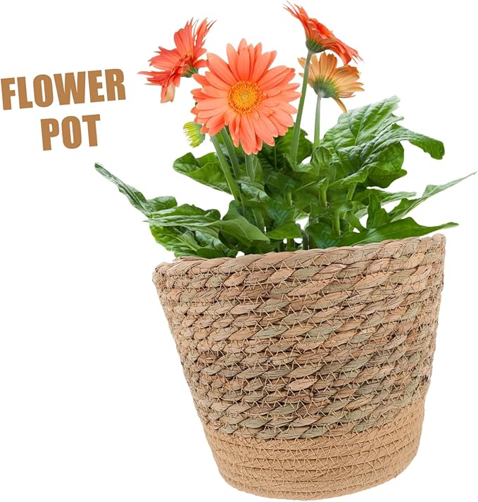 Straw Woven Plant Basket with Flat Base Handmade Flower Pot Holder for Indoor Home Decor Living Bedroom Office Use Natural Boho Style Woven Design