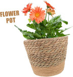 Straw Woven Plant Basket with Flat Base Handmade Flower Pot Holder for Indoor Home Decor Living Bedroom Office Use Natural Boho Style Woven Design