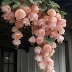 150+ Weeping Begonia Seeds | Cascading Hanging Flowers | Ornamental Garden & Basket Plant Seeds for Garden Outdoor Indoor