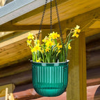 Maxcheck 4 Pcs Self Watering Hanging Planters Indoor Gift 6.5'' 4.5'' Hanging Flower Pots Baskets Outdoor Self Watering Plant with 3hooks Drainage Holes for Home(Emerald,Clear)