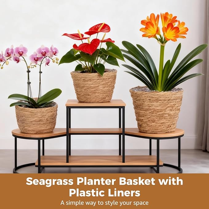 6 Pcs Plant Baskets Indoor with Plastic Liners, Wicker Hand Woven Plant Baskets, Flower Pots Storage Containers in 3 Sizes, Decorative Planters for Home, Balcony, Office
