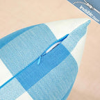 CARRIE HOME Light Blue and White Buffalo Plaid Summer Outdoor Pillow Covers 18x18 Set of 2, Light Blue Checkered Decorative Couch Pillows, Lake Blue Front Back Porch Decor Throw Pillows (No Inserts)