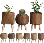 Handwoven Flowers Basket Handwoven Storage Basket Flowers Baskets Plant Pots Bonsais Succulents Container Decorations
