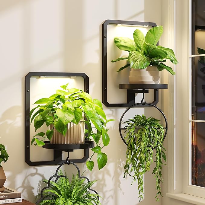 iDavosic.ly Wall Plant Picture Frame Holder Set of 2 with 2 Grow Light for Indoor, Metal Stand with Hanging Hooks, Space Saving Floating Flower Display Decor (Pots/Chains/Plants Not Included)