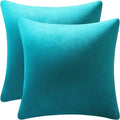 Throw Pillow Covers 18x18 Turquoise: Pack of 2 Cozy Soft Velvet Square Modern Luxury Decorative Throw Pillow Cases for Sofa Couch Living Room Bed Home Decor