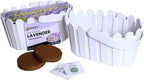 BUZZY Seeds Grow Your Own Lavender Basket – Indoor Flower Grow Kit with Growing Medium, Easy Instructions, Decorative White Basket – Ideal Gardening Gift for Beginners Plant Lovers DIY