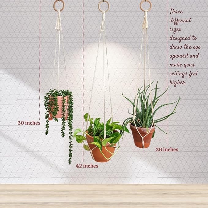 Set of 3 Macrame plant hanger for pots 4-10” live plants indoor and outdoor decor hanging plant holder Boho décor Plant stand Indoor plant shelf for Hanging planter for plant pots (Vanilla White)
