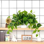 Waipfaru Fake Plants Artificial Plants Indoor, Realistic Artificial Hanging Fake Pothos with Plastic Pots, Faux Pothos for Home Shelf Bathroom Kitchen Office Indoor Outdoor Decor