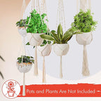 feedee Macrame Plant Hangers for Plants - 6 Pack Macromay Plant Hangers for Indoor Plant Hanger, Boho & Home Decor