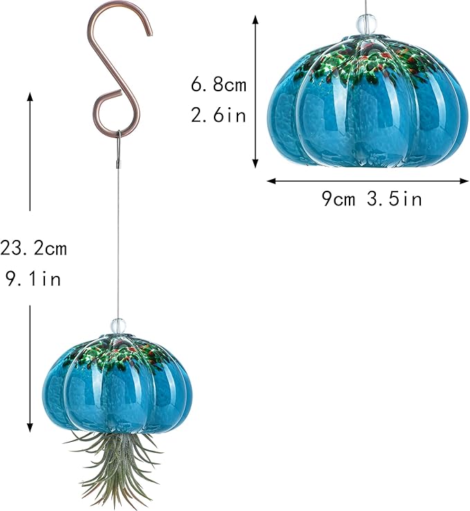 H&D HYALINE & DORA Handmade Blown Glass Hanging Jellyfish Air Planter for Live Succulent Air Plants (No Plants)