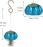 H&D HYALINE & DORA Handmade Blown Glass Hanging Jellyfish Air Planter for Live Succulent Air Plants (No Plants)