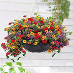 Non-Woven Fabric Plant Grow Bags Replacement Coco Liner Window Basket,Trough Shaped Wall and Deck Mount Planters,Round Hanging Basket (2Pack, 12IN)