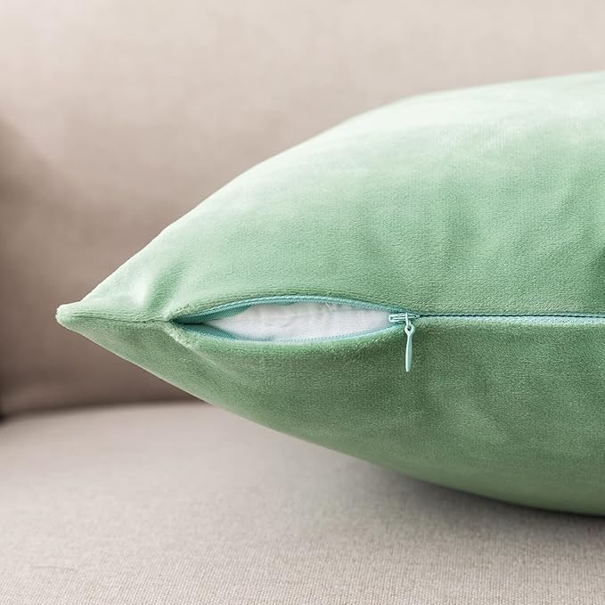 NiNi ALL Decorative Throw Pillow Covers Pack of 2, Velvet Cushion Case for Couch Bedroom Living Room Outdoor, Pillow Covers 20x20 Inch（50 x 50 cm） Sage Green