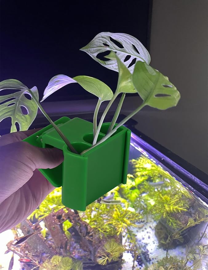 2 Pk Upgraded Aquarium Plant Holder, 3-Hole Hanging Holder with Clip, Suitable for Fish Tank Decoration, Green