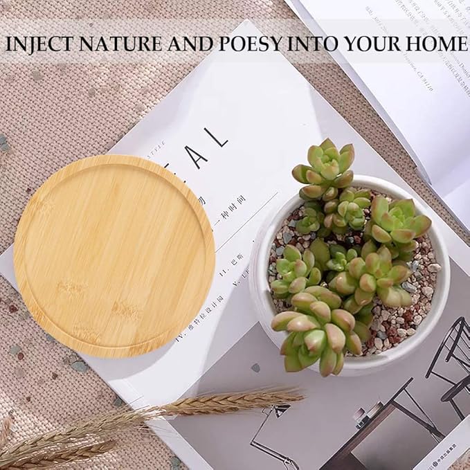 3 Pack Bamboo Saucer, 6 Inch Plant Saucer, 5" Cactus Plant Tray, Round Bamboo Tray for Modern Ceramic Flower Pot, Planter Pot, Cup Holder, Spoon Holder, Kitchen Utensil Rest