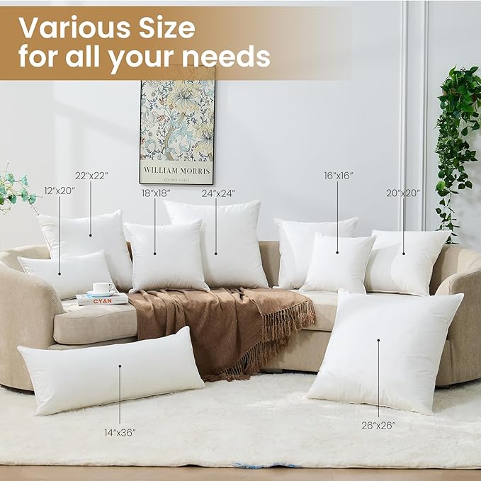 BHZ Euro Throw Pillow Inserts, 14x36 Down Feather Alternative Pillow Inserts Set of 2, Decorative Soft Large Square White Throw Pillows Insert for Couch Bed Dorm Sofa with Breathable Cover