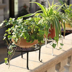 Tosnail 4 Pack Metal Plant Stand, Planter Support Rack, Plant Pot Stands, Planter Holder Heavy Duty, Rust Proof Iron Potted Plant Flower Pot Stand for Indoor Outdoor Garden Patio, Black, 9 Inch