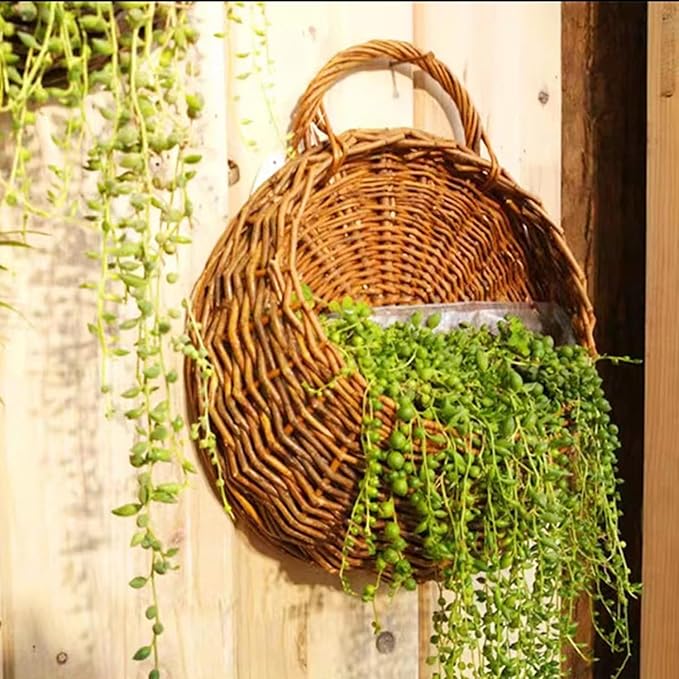 Wall Hanging Flower Basket, Handmade Wicker Hanging Basket for Plant Wall Mount Rattan Chlorophytum Comosum Hanging Basket for Front Door, Home, Garden. (M)