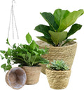 4 Pcs Seagrass Planter Basket Flower Pots with Plastic Liners 5.1 in,7 in, 9 in,10.2 in Hand Woven Plant Basket with Flower Pot Chain, Perfect for Indoor Outdoor Flower Pots Decoration