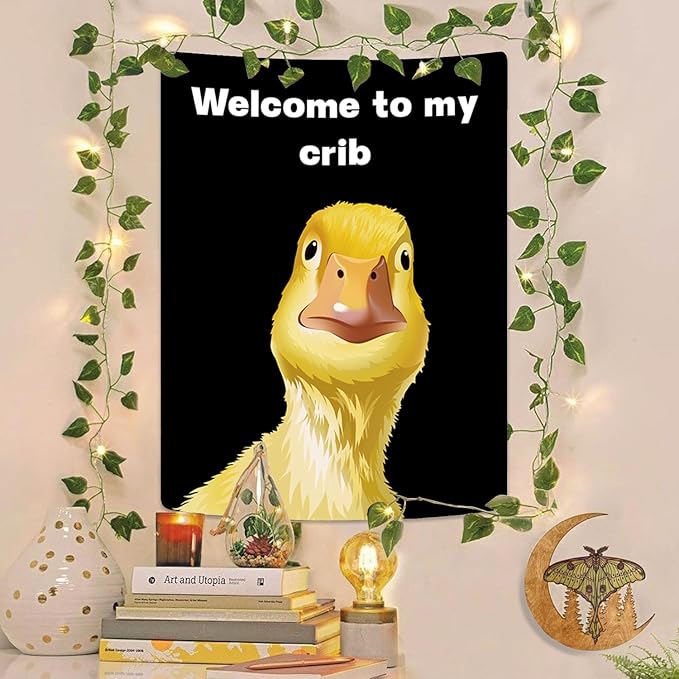 Funny Tapestries Welcome To My Crib Flag Funny Tapestry 3x4Ft Indoor Outdoor Wall Art Tapestry for Bedroom Teens Room Decoration Living Room Bedroom Decorations Cool Stuff for Your Room Decor
