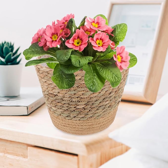 Rustic Handwoven Straw Flower Basket for Indoor Plants Multi-Functional Planter and Storage Holder Natural Decorative Pot for Living Bedroom Office Boho Home Decor