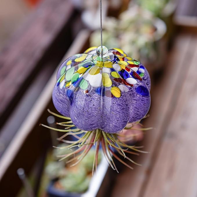 H&D HYALINE & DORA Hanging Hand Blown Art Glass Jellyfish Air Planter Terrarium Decor for Garden Porch Windowsill (No Plants)
