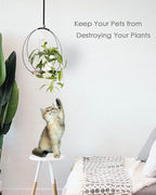 Plant Hangers Indoor with Wood Base -2 Pack Boho Macrame Hanging Plant Holder for Indoor Plants Hanging Planter for Wall/Window/Room Decor Black (Pot & Plant Not Included)