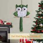 ACEDSGN Macrame Owl Wall Hanging Boho Hippy Decor, Handmade Tapestry Fiber Art Wall Decor for Nursery Bedroom Living Room, Sustainable Gift for Owl Lovers & Nature Fans