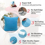 Home Brilliant Decorative Pillow Cover Light Blue Soft Velvet Corduroy Striped Set of 2 Square Throw Pillow Covers for Couch, 18 x 18 inch, Teal