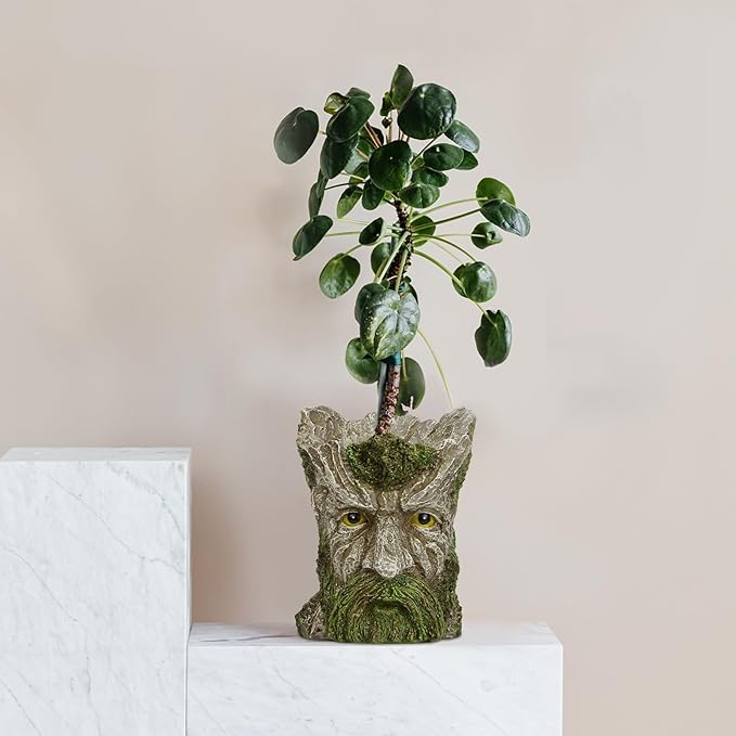 Face Planter - Unique Old Man Tree Face Planters for Outdoor Indoor Plants with Drainage Hole, Funny Plant Pots for Succulents - Creative Flower Pots as Gifts for Women and Men (Green Man)