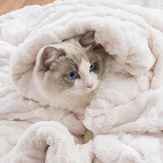 EverGrace Classic Cable Jacquard Sherpa Fleece Throw Blanket for Couch, Soft Cozy Fuzzy Plush Blankets for All Seasons, Reversible Thick Warm Blanket for Bed, Sofa, Bleach White, 60" x 80"