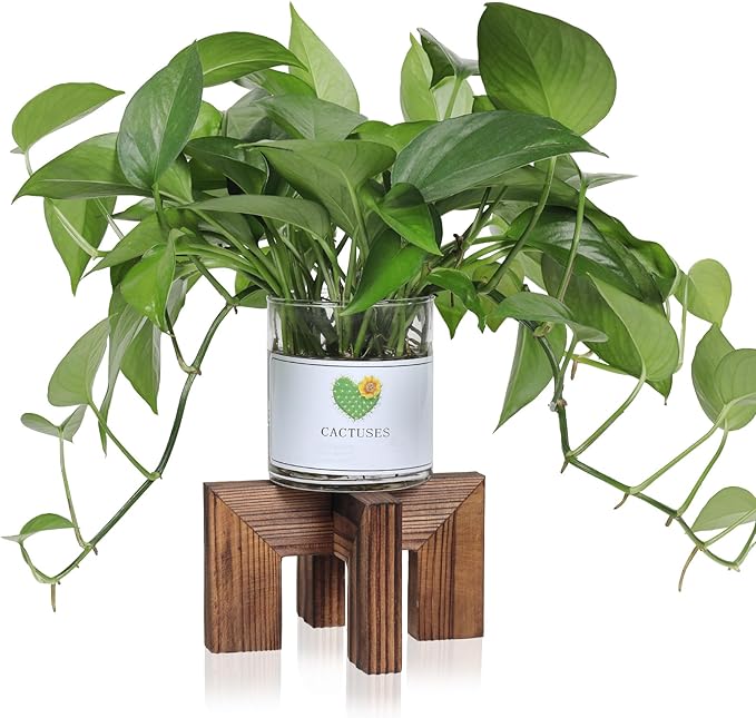 Plant Stand, Indoor/Outdoor Wood Plant Holder, Single Flower Pot Stand, Sturdy Planter Stands (Walnut, Fit 2.5-6 inch pots)
