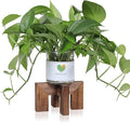 Plant Stand, Indoor/Outdoor Wood Plant Holder, Single Flower Pot Stand, Sturdy Planter Stands (Walnut, Fit 2.5-6 inch pots)