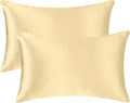 2 Pack 12x20 Pillow Cover Velvet Pillow Covers, Square Throw Pillow Covers for Living Room Decorations Throw Pillow Case, Throw Pillow Cover Cushion Cover for Home Sofa Bedroom Car, Champagne