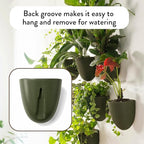 Make Good PlantPod Luxe - Self-Watering Wall Planters (Set of 6, Forest Green) - Easy to Water and Install - Lightweight - Design Your Own Vertical Garden - Wall Planters for Indoor Plants