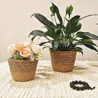 3PCS Plant Basket Indoor with Plastic Liner Water Hyacinth Woven Planters Flower Baskets Holder Liners Home Decor