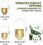 AceList Boho Hanging Planter,6.3 inch Set of 2 Gold Metal Plant Hanger with Hooks and Chains, Modern Wall & Ceiling Planters Outdoor/Indoor Hanging Planter for Window, Porch, Balcony and Home Décor