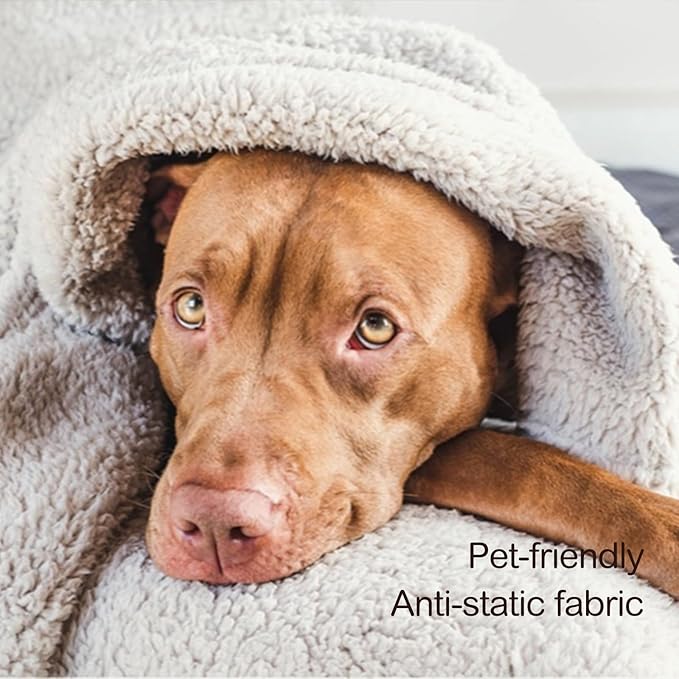Ultra Soft Cozy Sherpa Throw Blanket, 2 Tones Ombre Light Brown Pattern Reversible, Light Weight Warm Decorative Boho Style Throw Blanket Cover for Sofa, Couch, Bedroom,Travel, 60”x80”