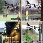 Hanging Plants Bracket 12" Bird Planter Outdoor Hooks Hangers for Flower Baskets Pot Bird Feeder Wind Chimes Lanterns Patio Garden Outdoor Indoor Metal Black, 4 Packs