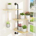 Rotating Window Plant Shelves with 3 Anti-slip Mats, 3 Tier Plant Stand Indoor Outdoor, Wooden Window Plant Shelf with 3 Circle Hook, Hanging Plant Holder for Window, Potted Plants, Flowerpots (Oak Color, 3 Tier)