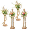 ANPHSIN 4 Pcs 8.6'' Wooden Air Plant Holder - Unique Jointed Mannequin Airplant Stand with Adjustable Poses, Tillandsia Display Container for Home Office Decoration Housewarming Gift