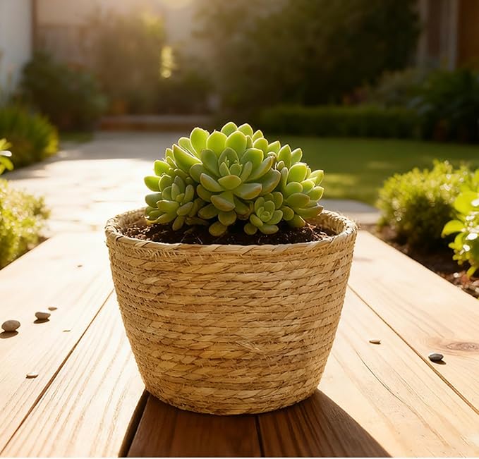 4 Pcs Seagrass Planter Basket Flower Pots with Plastic Liners 5.1 in,7 in, 9 in,10.2 in Hand Woven Plant Basket with Flower Pot Chain, Perfect for Indoor Outdoor Flower Pots Decoration