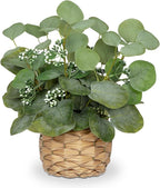 DILATATA Artificial Eucalyptus Stems in Woven Basket Planter, 12" Fake Plant Eucalyptus Leaves with Green Seeds Faux Potted Plant Greenery for Table Centerpiece Office Indoor Home Decor