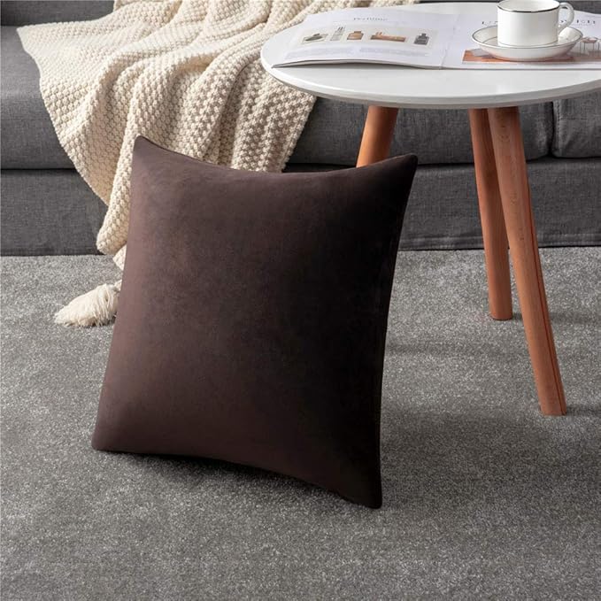 Throw Pillow Covers 16x16 Chocolate Brown: Pack of 2 Cozy Soft Velvet Square Modern Luxury Decorative Throw Pillow Cases for Sofa Couch Living Room Bed Home Decor