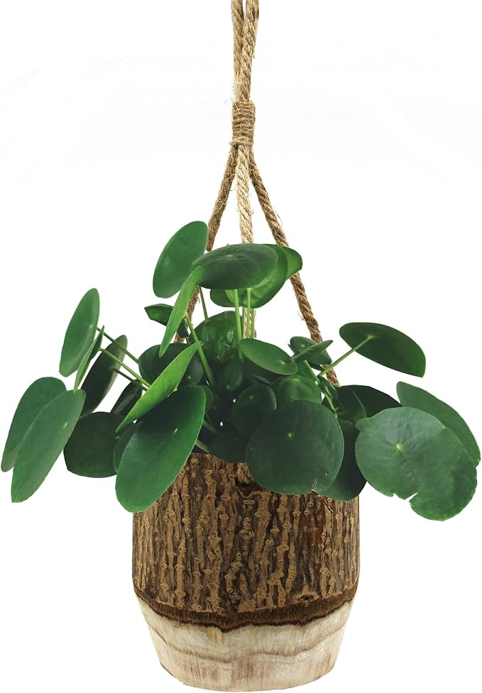 CVHOMEDECO. Farmhouse Hanging Planter Rustic Wood Plant Holder Natural Bark Flower Pot with Hemp Rope Hanger for Garden and Indoor Decor.