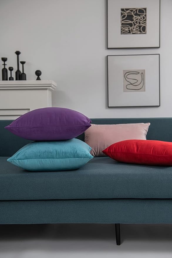 Throw Pillow Covers 20x20 Purple: Pack of 2 Cozy Soft Velvet Square Modern Luxury Decorative Throw Pillow Cases for Sofa Couch Living Room Bed Home Decor